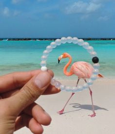 Lokai Bracelet  On Big Sale (Transparent White)